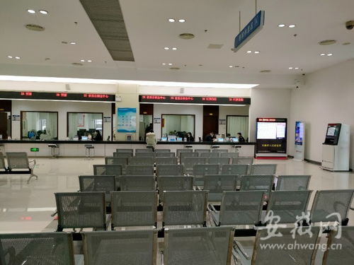 虎年開工首日探訪 安徽省政務(wù)服務(wù)中心窗口人員堅(jiān)守崗位，熱情服務(wù)暖人心